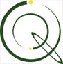 The Q Group Logo